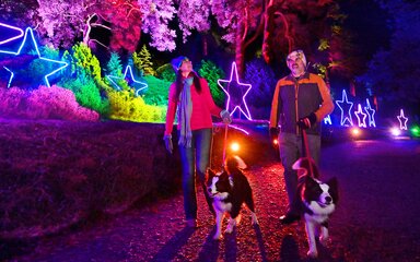 A couple walking their dog at an illuminated trail