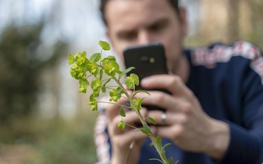 A man using the iNaturalist app 