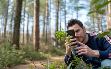 Person taking a photo of a plant with their phone