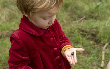 Big Forest Find child holding beetle 