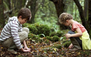 Children playing in forest