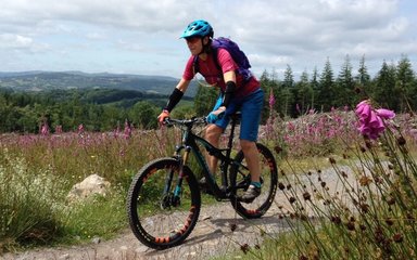 mountain biker enjoying nature