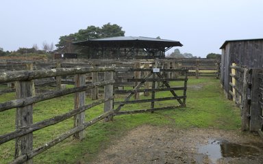 Wooden gate opening on to sales yard