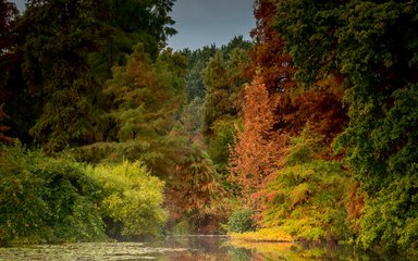 Bedgebury National Pinetum - cor de outono do lago Marshal 