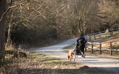 Bedgebury 5km running trail