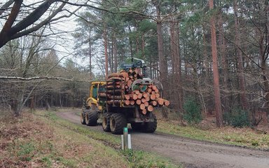 Forwarder full of timber at Bedgebury Forest