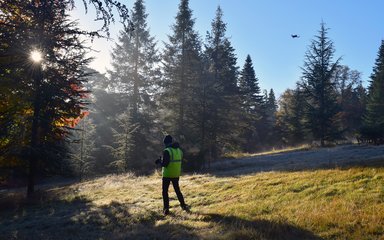 Drone photography at Bedgebury National Pinetum 