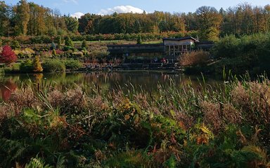 Bedgebury National Pinetum Visitor Centre lake view of cafe