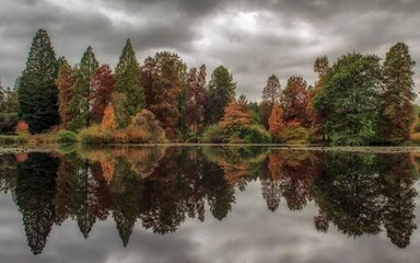 Bedgebury National Pinetum Marshal's Lake autumn dark skies