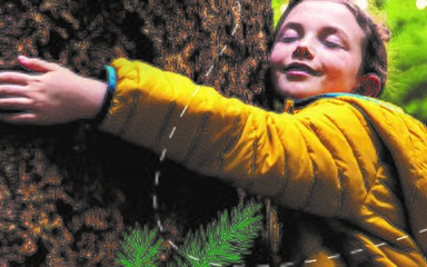 Child wearing yellow coat hugging a tree