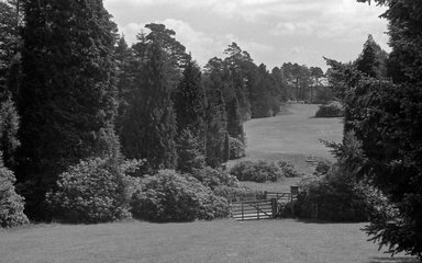Black and white archive image of landscape showing grass, conifers and gates