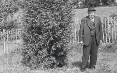 Black and white archive photo of an elderly man wearing a suit and hat, standing next to a conifer tree,