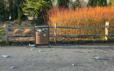 A full litter bin and ground strewn with litter, with trees in the background.