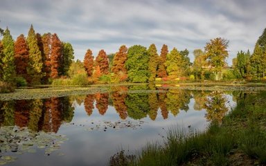 Bedgebury lake autumn