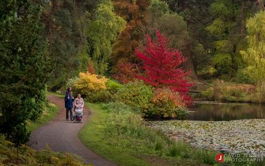 Family walking through Bedgebury in autumn