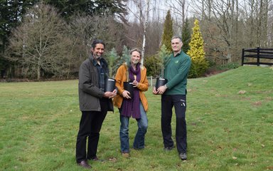 Bedgebury-National-Pinetum-Mulanje-cedar-seedlings-to-Eden-Project-team.jpg