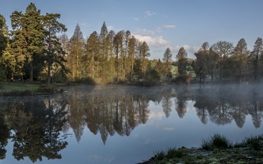 Bedgebury National Pinetum Marshal's Lake view dawn sunrise winter