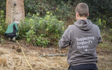 Bedgebury volunteers measuring