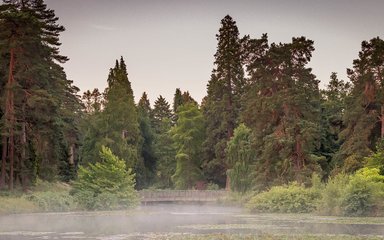 Bedgebury National Pinetum Marshal's Lake view summer bridge