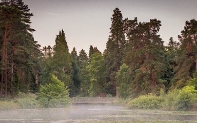 Bedgebury National Pinetum Marshal's Lake view summer bridge