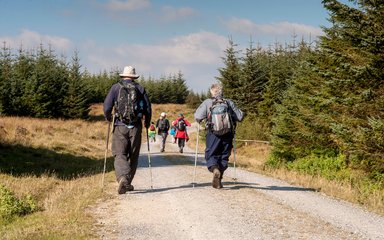 Nordic walkers at Bellever Forest