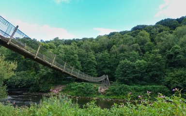 Suspension bridge over a river in a forest