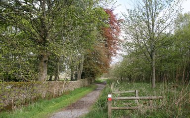 Birch Hills walk, Gisburn