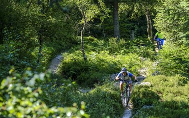 Dalby cycling on the world cup trail 