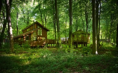 Forest Holidays treehouses at Blackwood Forest  