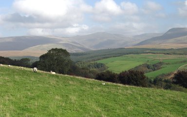 View of Pillar from Blengdale Forest viewpoint 