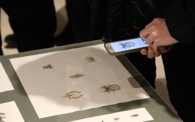 Phone taking picture of Blood from stone exhibition 