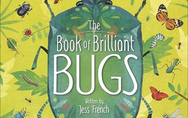 A book cover saying the book of brilliant bugs. A green / yellow background full of bugs!