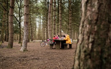 A family having a picnic in the forest