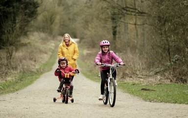 Woman behind two children, each of whom is riding a bike on a forest trail