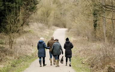 A group of 4 adults and a dog, walking on a forest trail