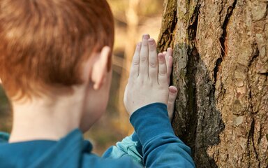Seen from behind, a boy placing both hands to the bark of a large tree trunk.