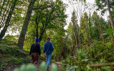 Two people walking along a forest path, surrounded by green trees.