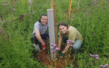 A young-adult girl in a green top and blue jeans (right) and young male in a grey top and dark trousers (right) are smiling at the camera whilst spreading bark mulch around a grey tree tube amongst a field of thistles. The each wear thick colourful gardening gloves.