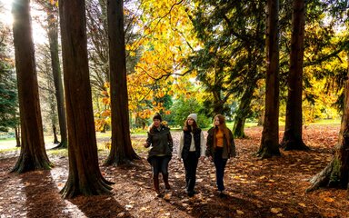 Three women among autumn trees.
