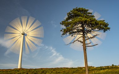 Earth Photo shortlisted work - Wind Energy and Trees