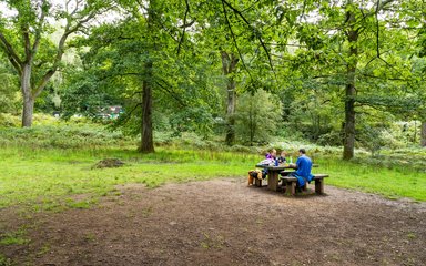 Family enjoying a picnic on a bench in a forest