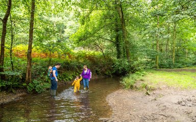 Family paddling in a brook