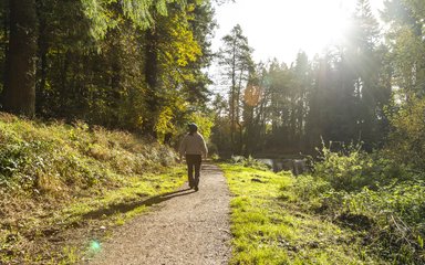 A woman walking along a lakeside path in a forest