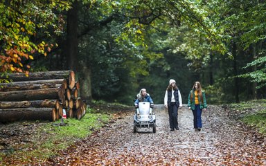 Woman using a tramper with two walkers in the forest