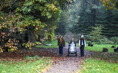 Woman using a tramper with two walkers in the forest