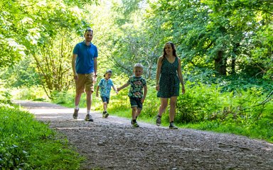 Family with two children walking along a forest trail in the summer