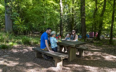 Family enjoying a picnic on a bench in a forest