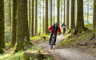 Two men cycling along a forest trail with a mountain visible behind them