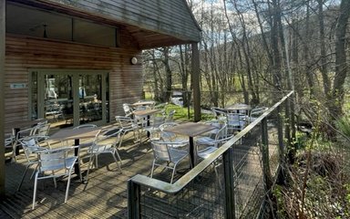 A decking outside a cafe in the forest with seats and tables on