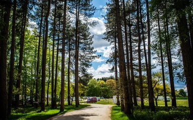 Camping in the forest